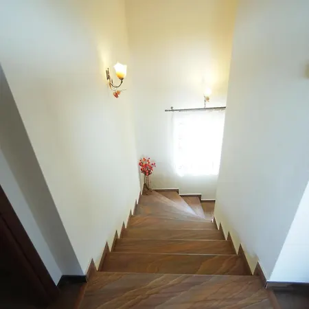 The Dreamhouse Kastoria 公寓 Dhendrokhorion