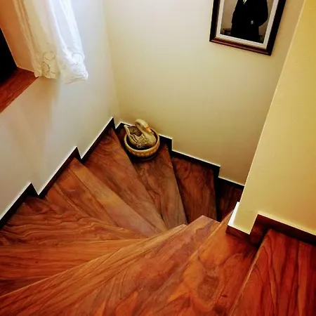 The Dreamhouse Kastoria * Dhendrokhorion